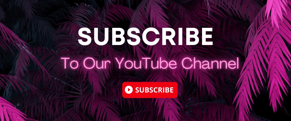 Subscribe To LWS YouTube Channel