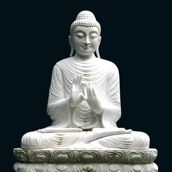 Profile Image Of Gautama Buddha